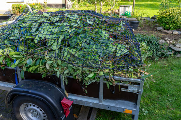 Best Shed Removal  in Harper, TX